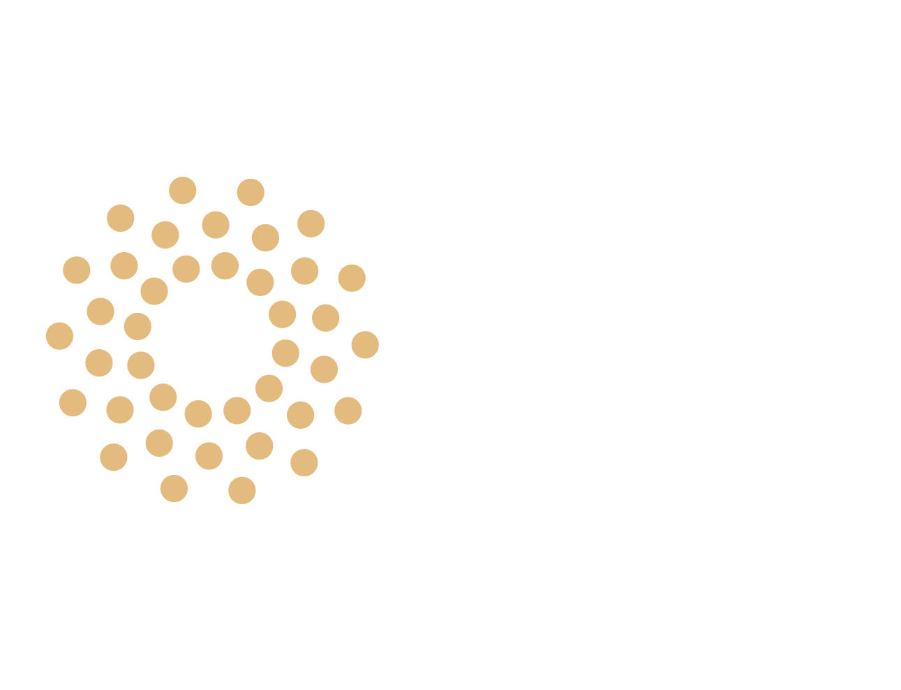 CAMTUR